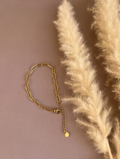 Браслет В0023